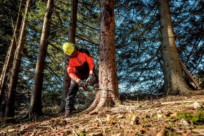 METABO PILARKA ŁAŃCUCHOWA AKU. 18V 40CM BEZ AKU.-37408