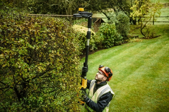 nozyce-do-zywoplotu-na-wysiegniku-dewalt-DCMPH566P1-QW