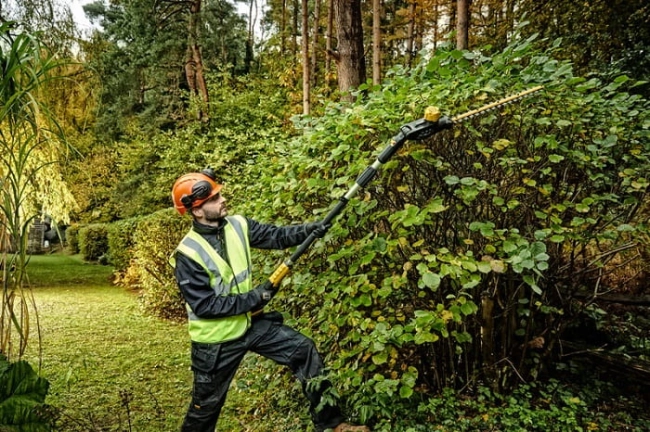 nozyce-do-zywoplotu-na-wysiegniku-dewalt-DCMPH566P1-QW