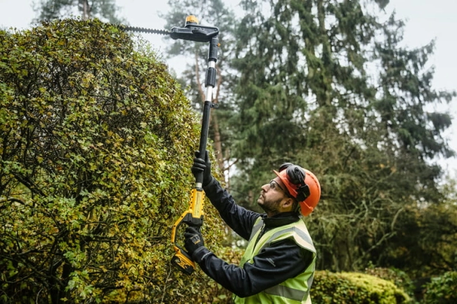 nozyce-do-zywoplotu-na-wysiegniku-dewalt-DCMPH566P1-QW