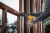 DEWALT PIŁA SZABLASTA AKU. 18V XR BEZ AKU WALIZKA-38783