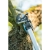sekator-nozycowy-z-pila-na-wysiegniku-cellpro-cellfast-40-416