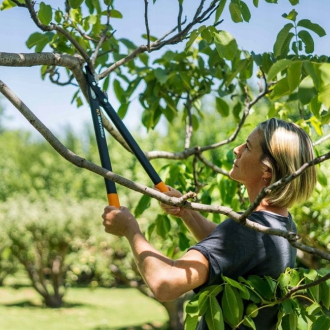 nozyce-do-galezi-fiskars-1000582