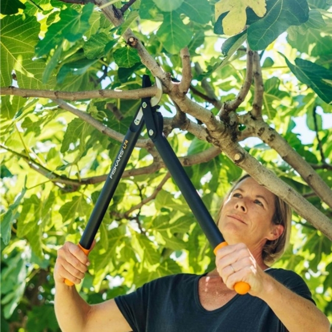 nozyce-do-galezi-fiskars-1000582