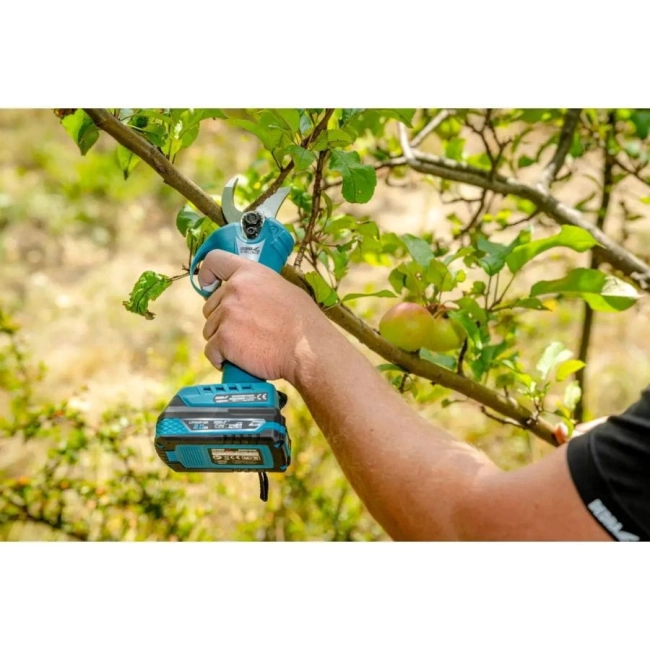 Arkusz Bhp-Asia - 2026-03-24T160048.503.jpg