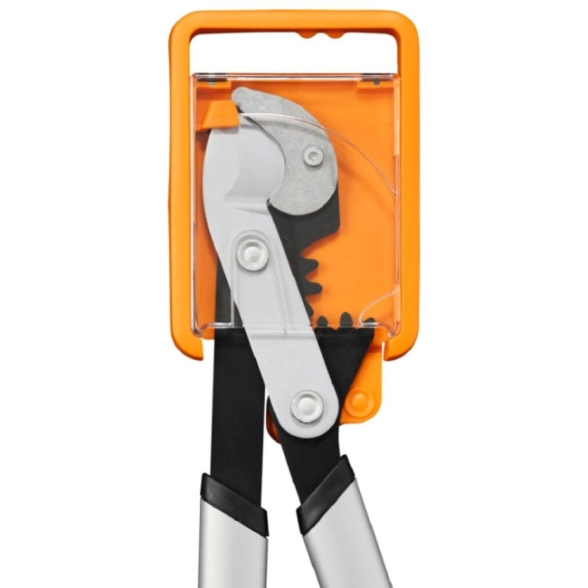53965_53748