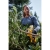 sekator-akumulatorowy-18v-Dewalt-DCMPP568P1-QW.jpg