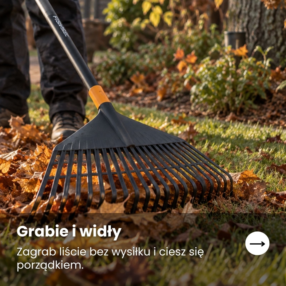 grabie i wdły