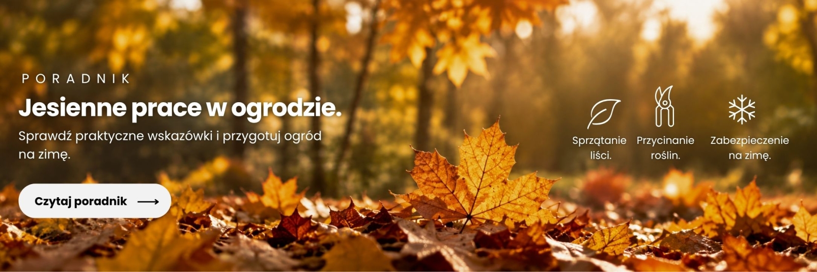 poradnik jesień w ogrodzie