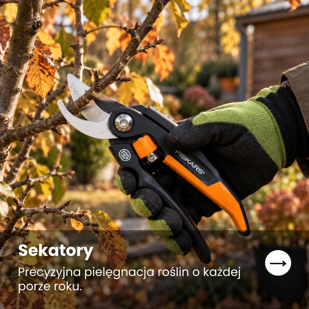 sekatory