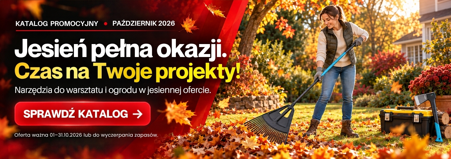 katalog promocyjny pazdziernik