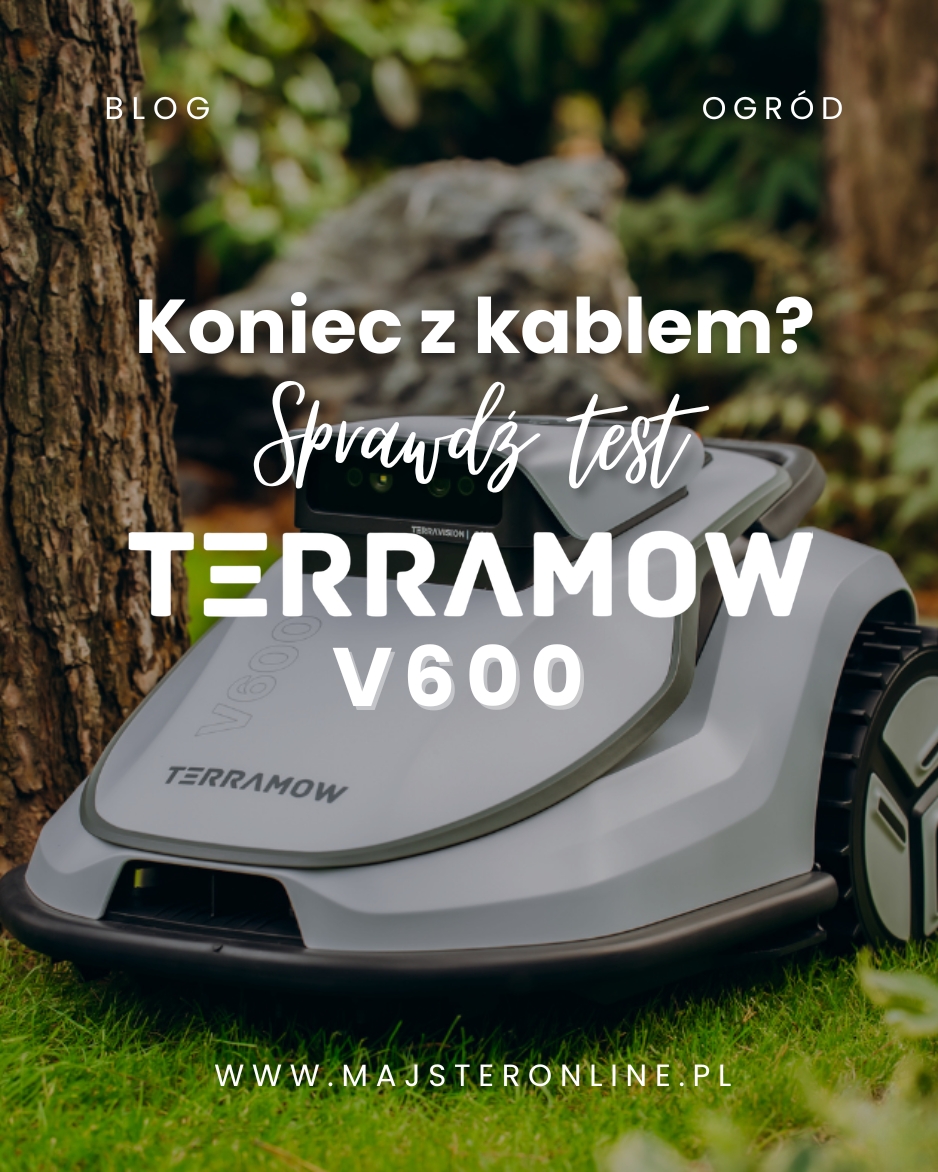 BLOG NOWY - MAJSTERONLINE.
