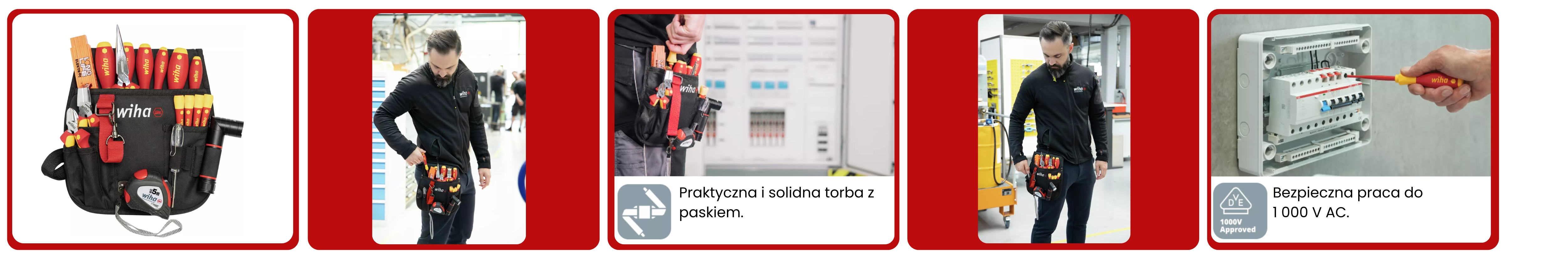 Pas Monterski